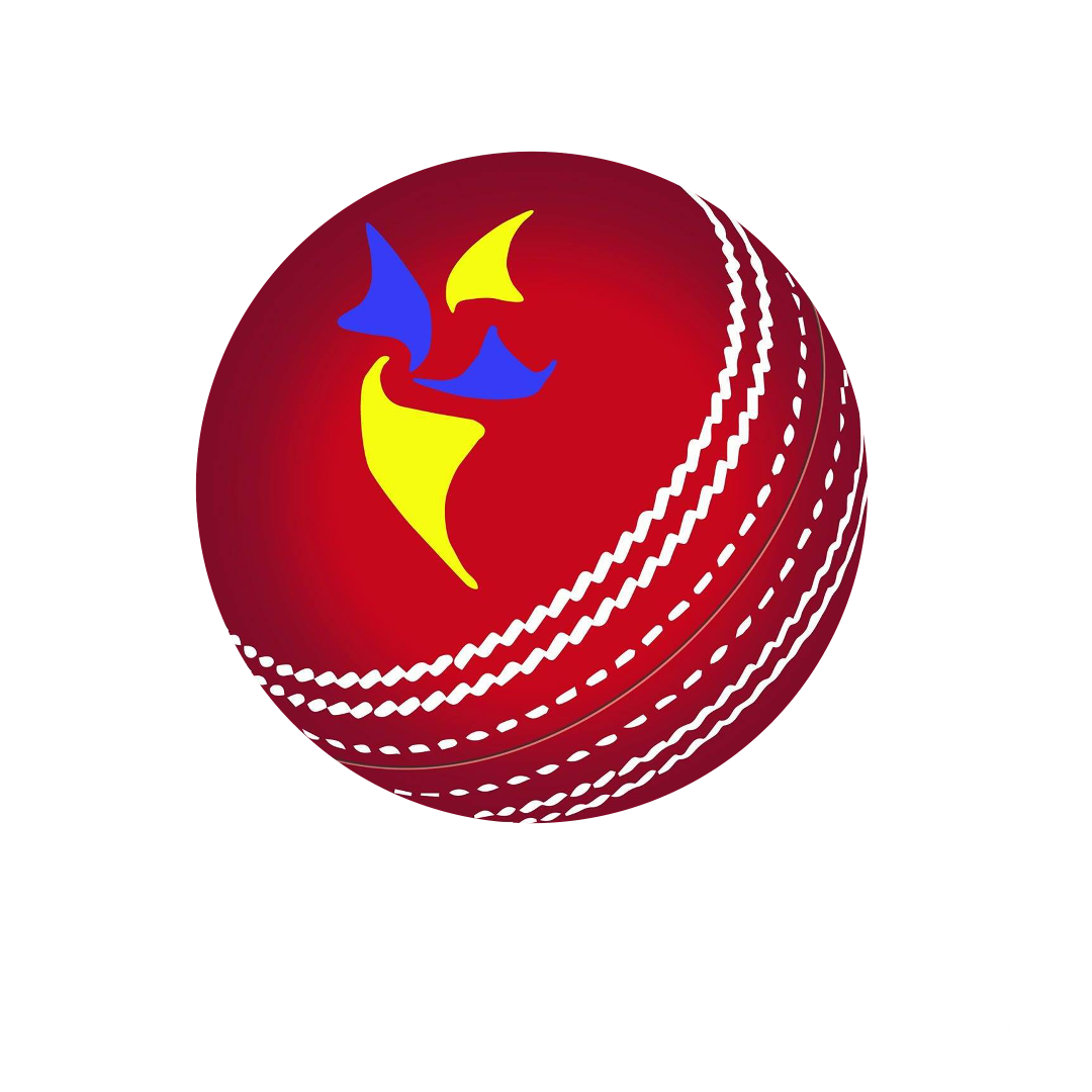 Ingleburn RSL Cricket Club Logo